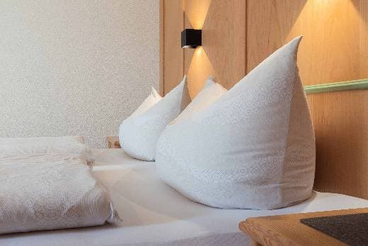 Appartement Strolz 1