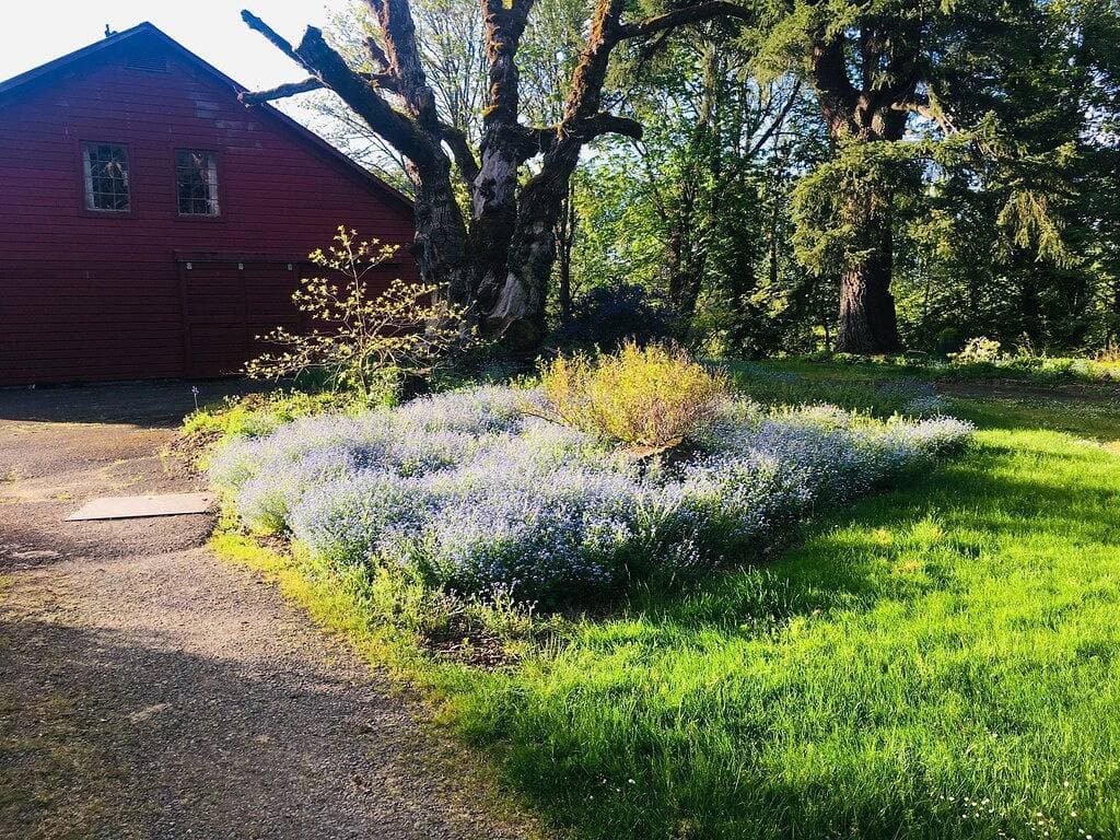 Foto 11 von 39: BunkHouse Retreat in der Minto-Brown-Insel Salem Oregon