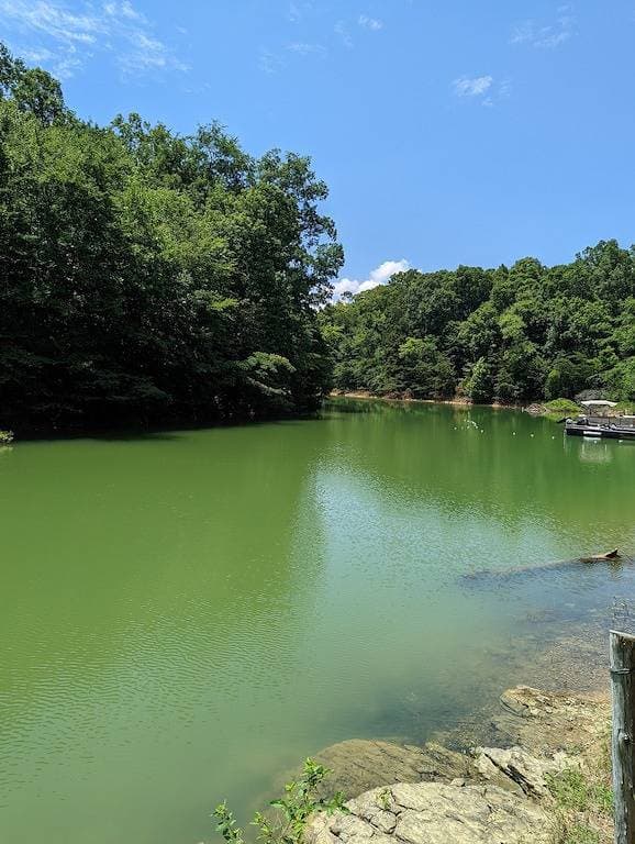 Foto 6 von 36: Glamping In The Smokies--Private 5 acres--Lake Access....