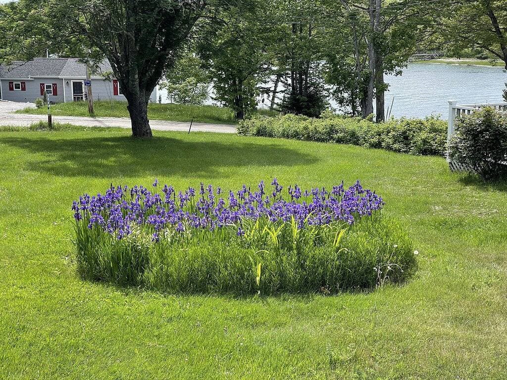 Foto 4 von 19: Quaint Retro Ash Cove Cottage