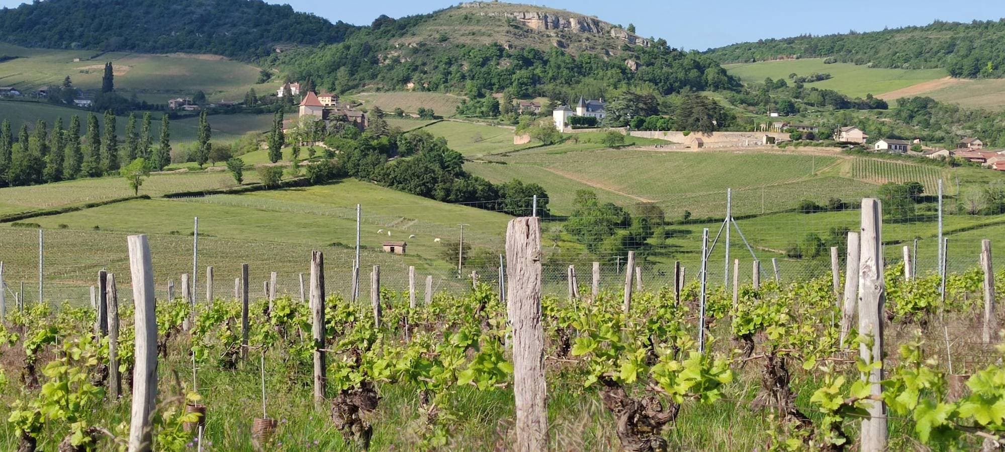 Foto 6 von 19: Château de Mouhy