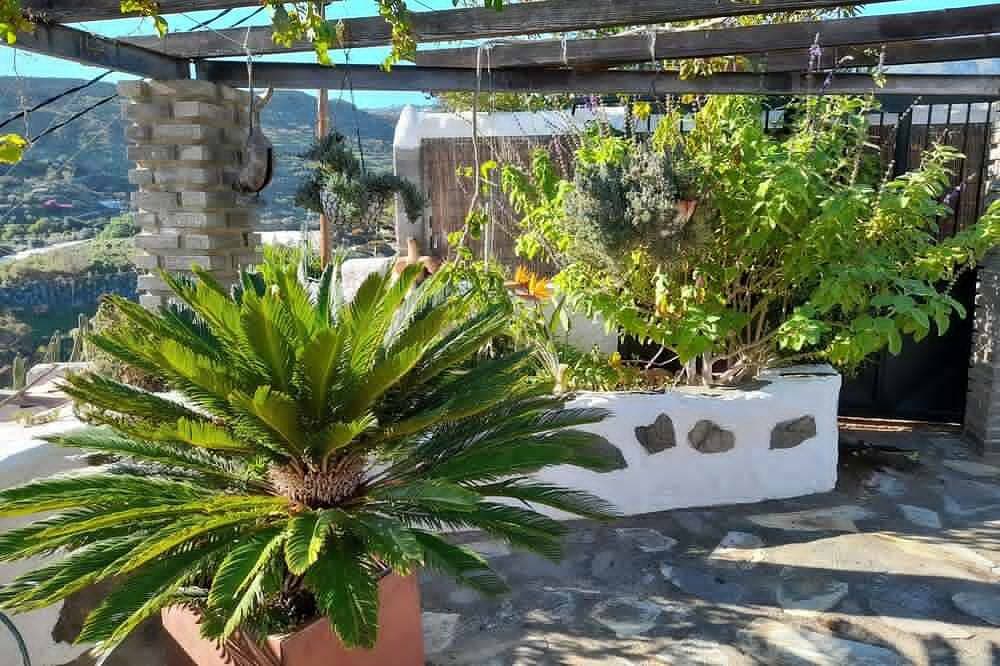 Foto 11 von 26: Casa Rural el Palmito mit privatem Pool