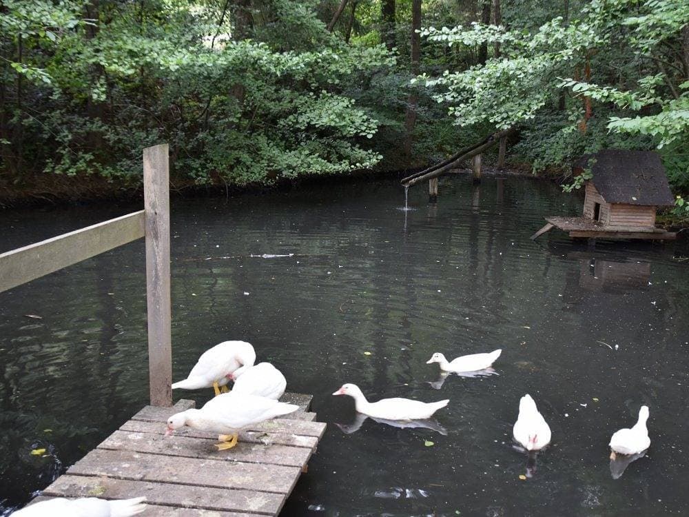 Foto 10 von 28: Vogtbenedikthof - Roßstall