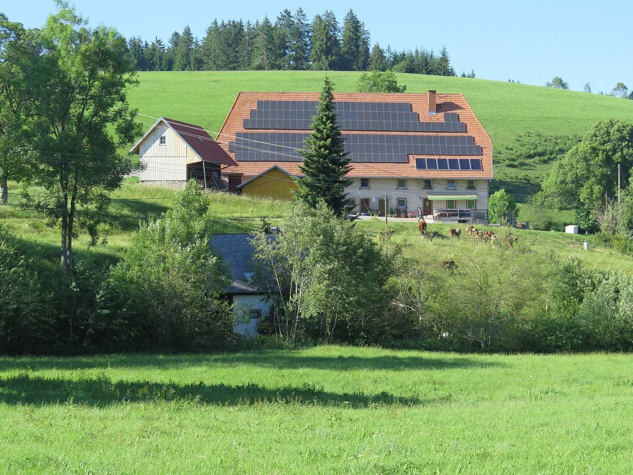 Foto 8 von 31: Ferienhaus, Schwarzwald