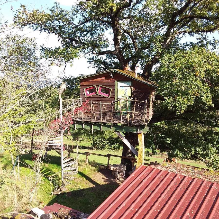 Foto 2 von 18: Bungalow with Garden View
