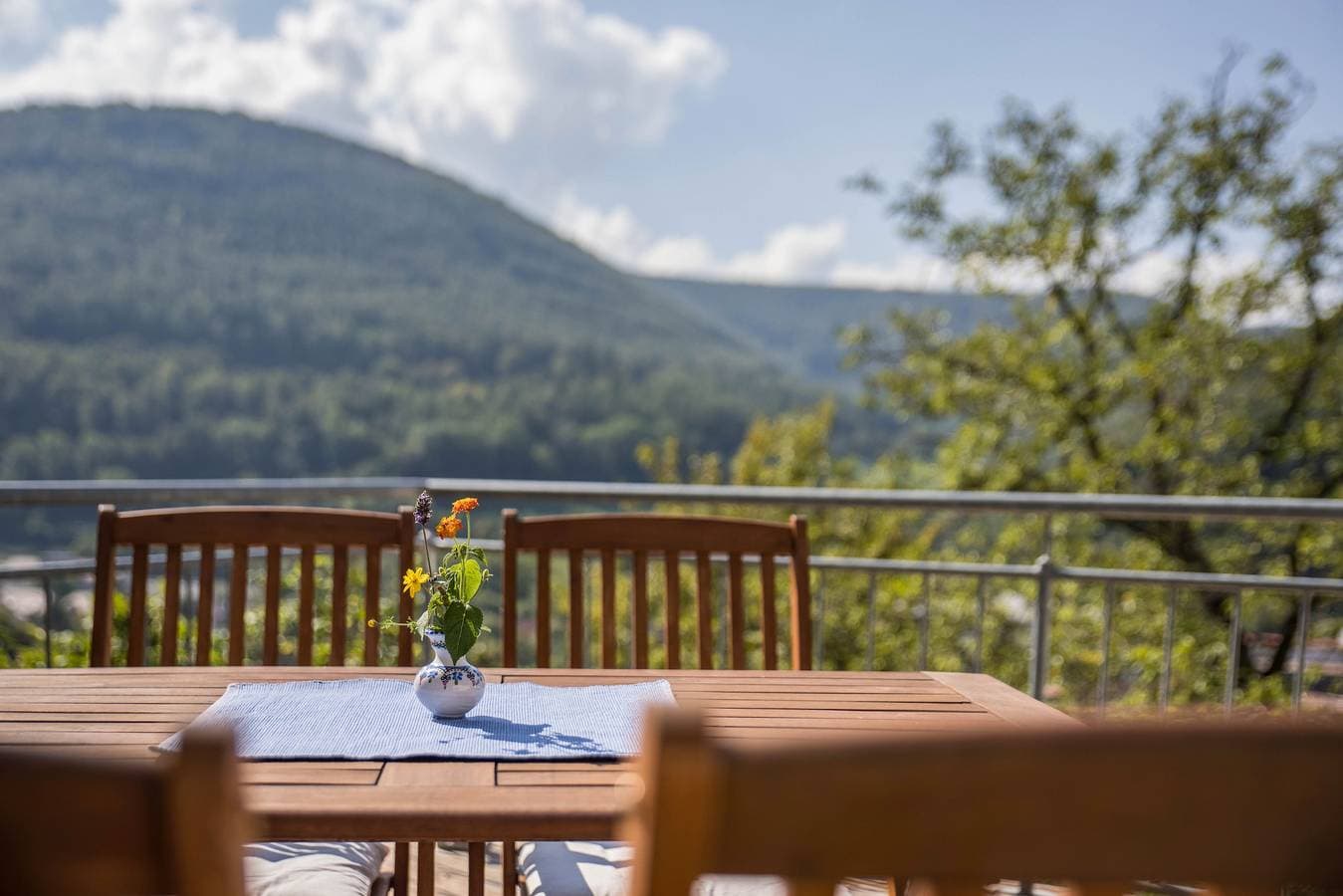 Foto 4 von 21: Ferienwohnung "Am Samuelstein" mit Bergblick, privater Terrasse und WLAN