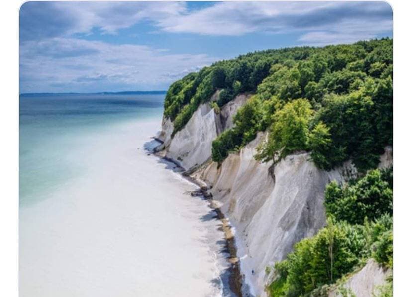 Foto 7 von 17: FeWo unter Reet am Wald Rügen