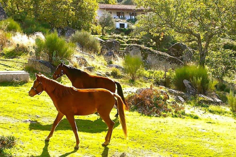 Foto 9 von 22: Marvao - Der Komfort mit Terrasse und Pool - Amazing View