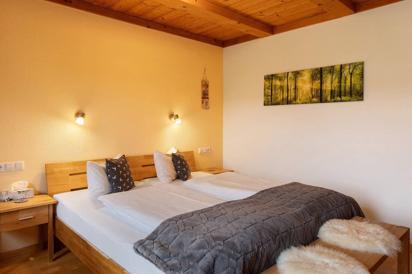 Foto 5 von 22: Gästezimmer Hirschsprung mit Bergblick, privater Terrasse und WLAN