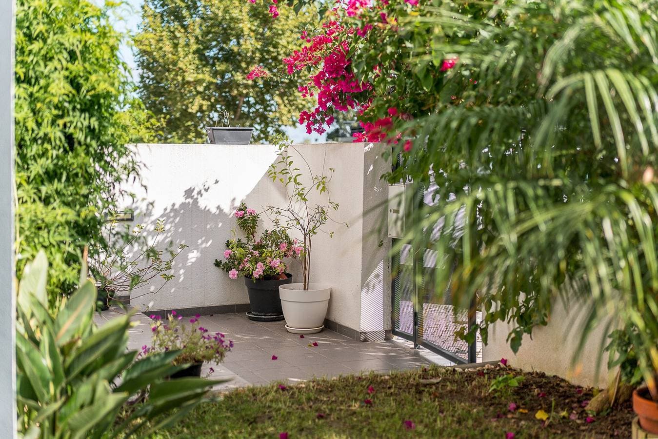 Foto 5 von 19: Private Suite Papagaio – Terrasse, Garten & separater Eingang