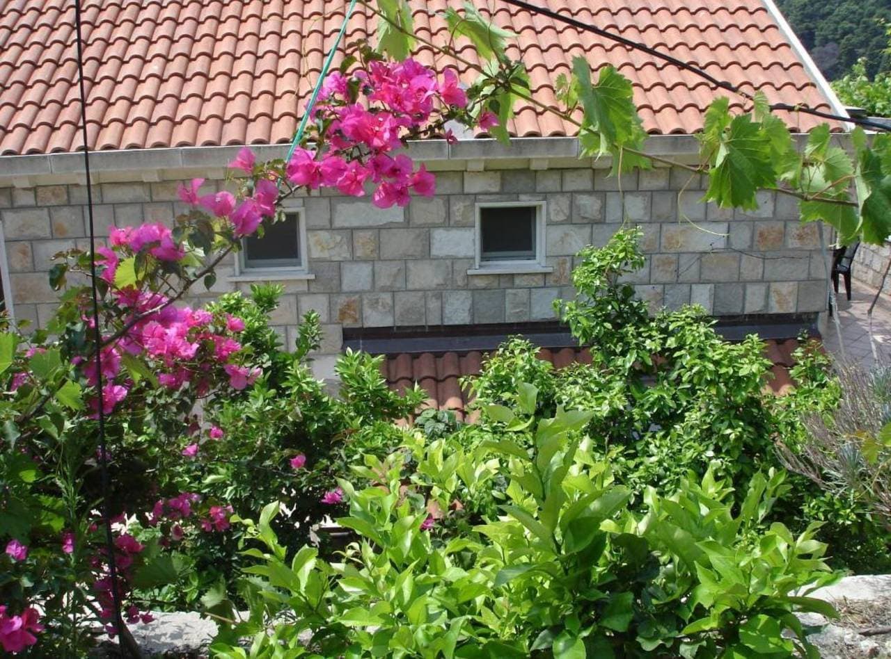 Ferienwohnung 35m² 1