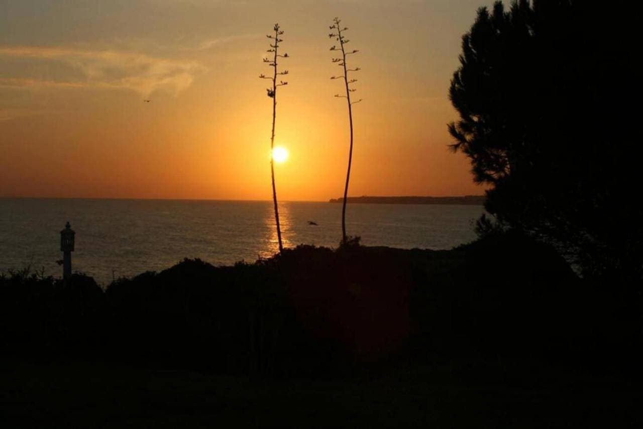 Foto 5 von 7: Apartment with Sea View