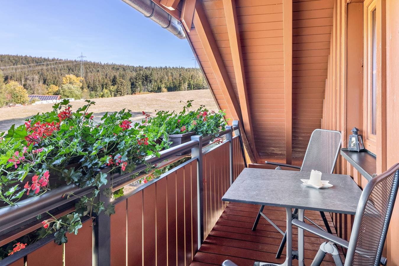 Foto 4 von 45: Apartment Waldblick auf dem Bauernhof mit Terrasse, Grillplatz, Spielplatz und Blick ins Grüne
