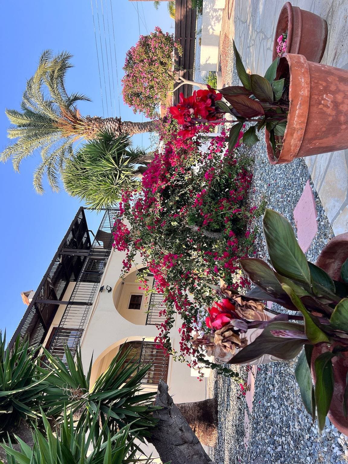 Foto 5 von 25: Charmante Erimi Villa mit privatem Pool und Gartenblick