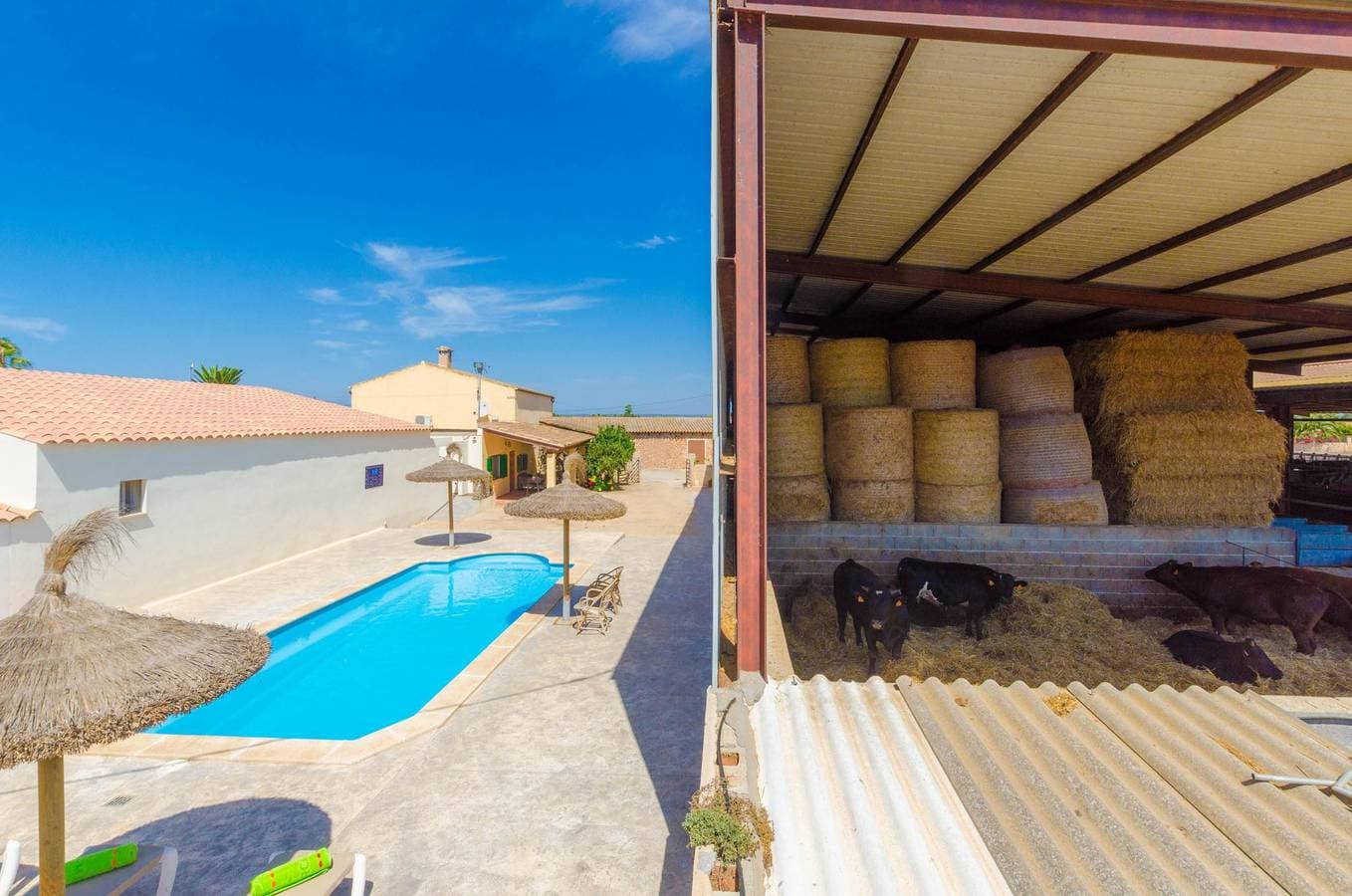 Sa Caseta De Ses Vaques.Son Covas - Ferienhaus mit Gemeinschaftspool in Campos. WiFi gratis 1