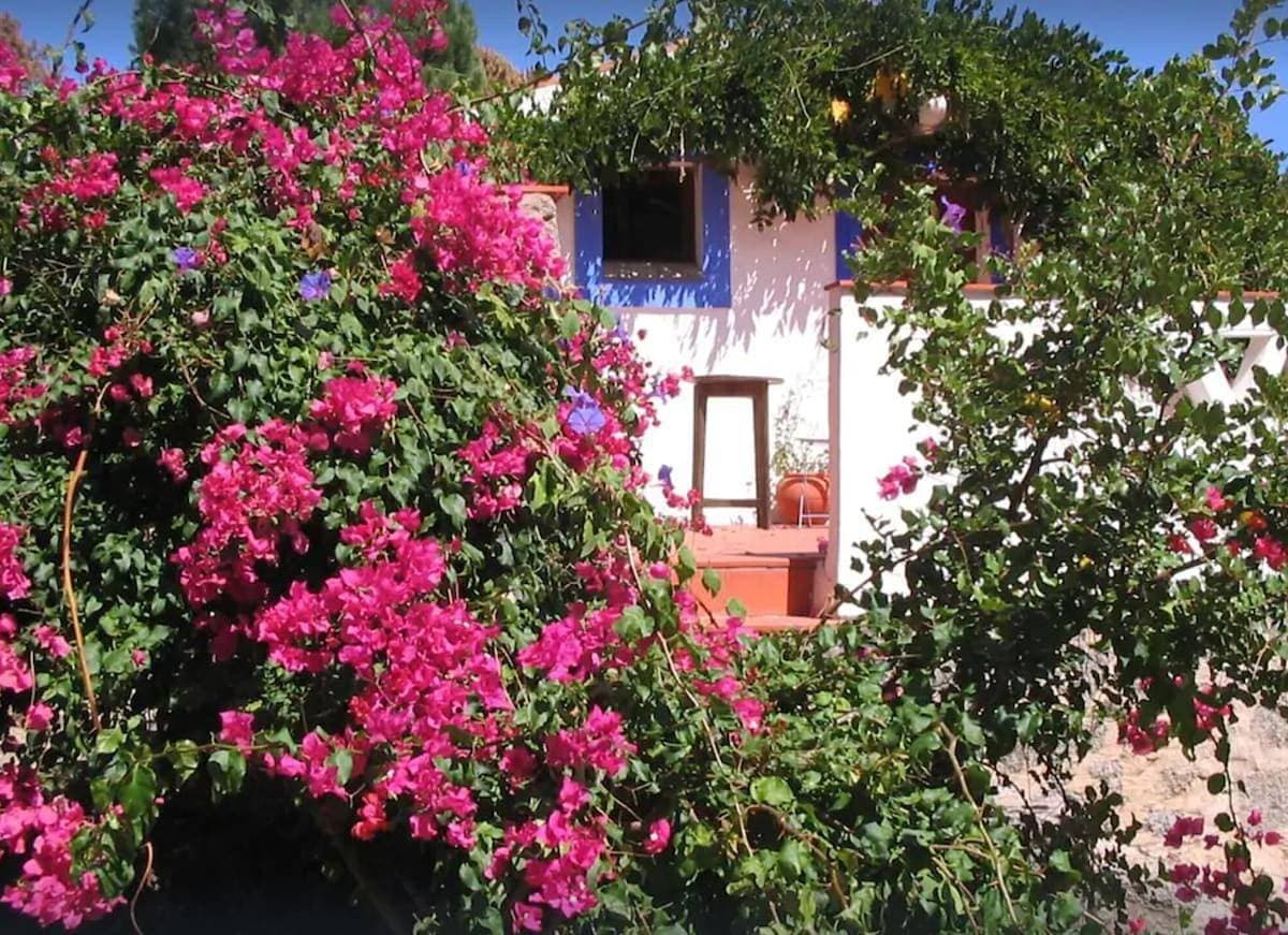 Foto 6 von 94: Holiday Home