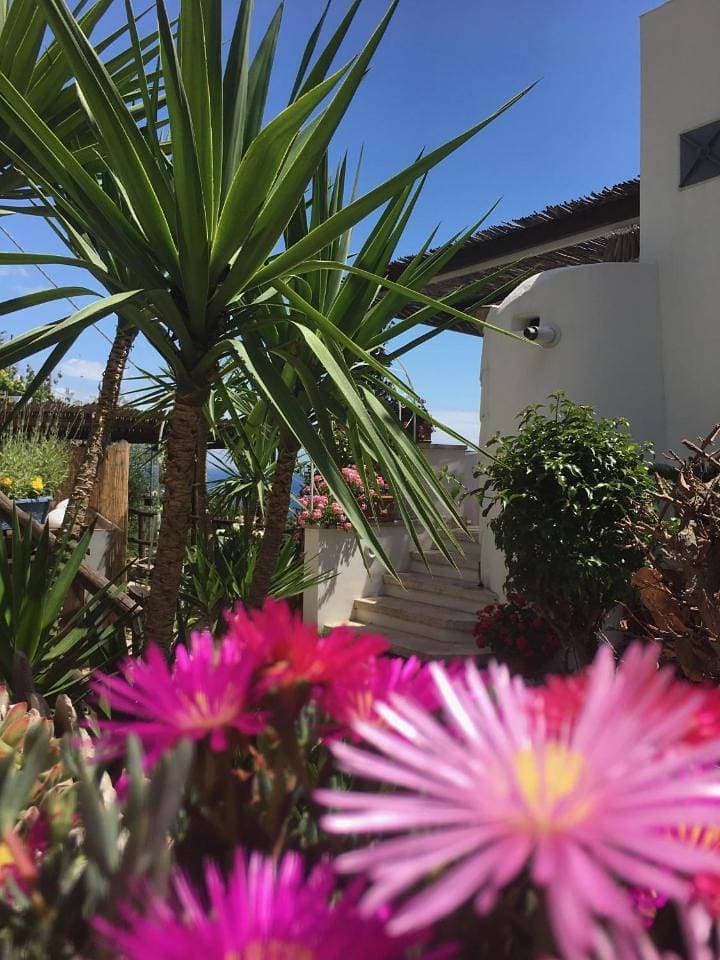 Foto 9 von 65: Holiday Home
