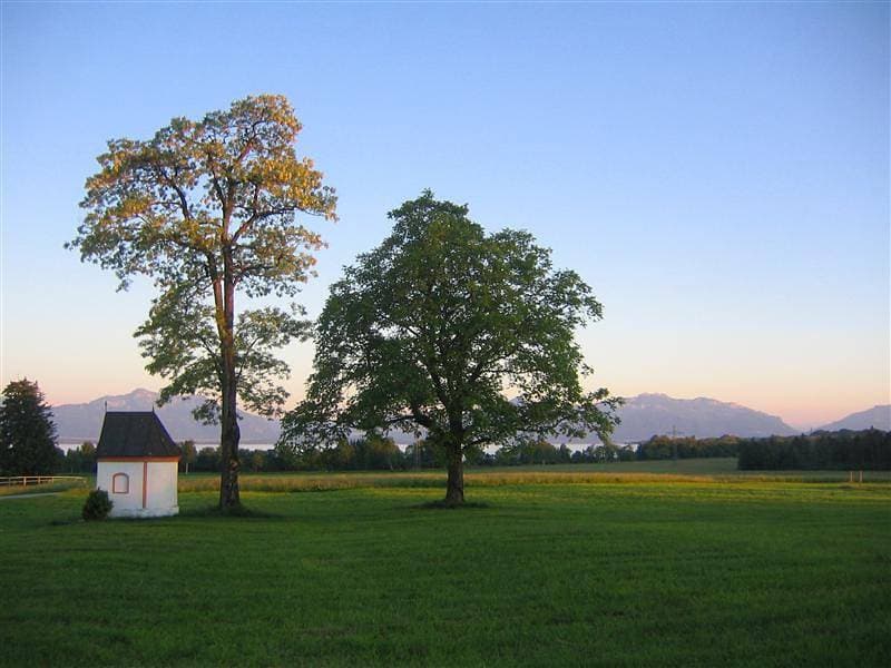 Foto 10 von 30: Moier-Hof Lex - Stübe-Kammer, Zimmer Nr. 2