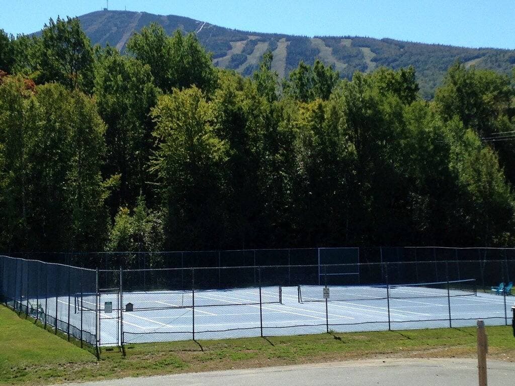Foto 7 von 15: Snowbrook: Ski in/out access with pool, hot-tub, and sauna for après ski!