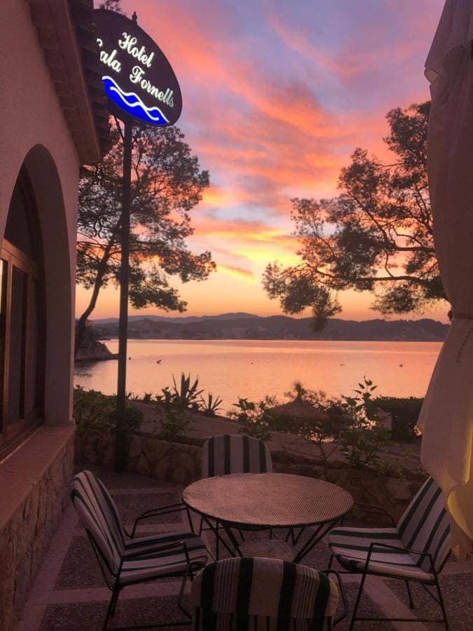 Foto 11 von 55: Hotel Cala Fornells
