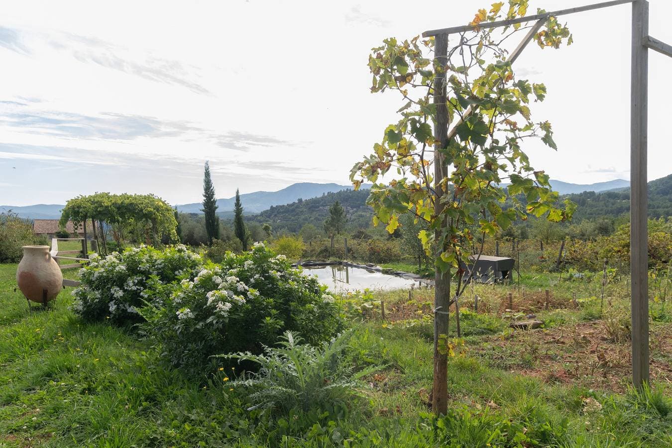 Foto 3 von 23: Ferienhaus 'Eco Gîte' mit Bergblick, WLAN und Klimaanlage