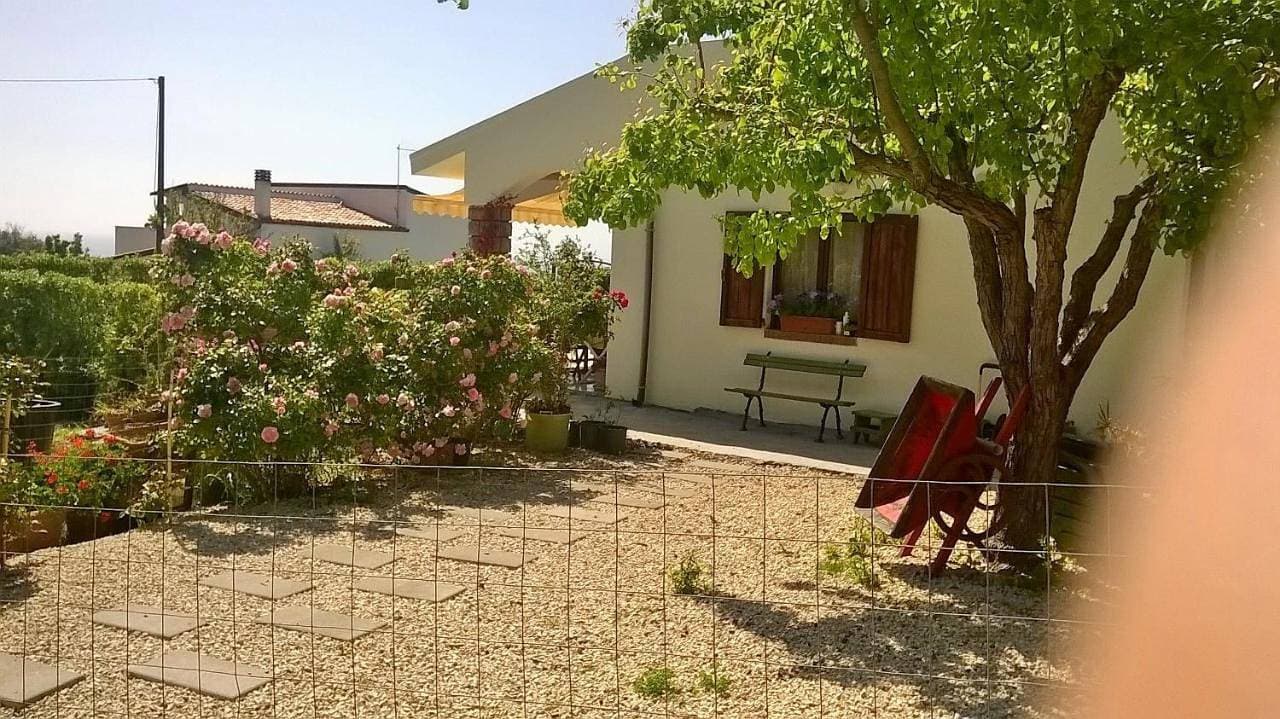 Foto 10 von 20: King Room with Garden View