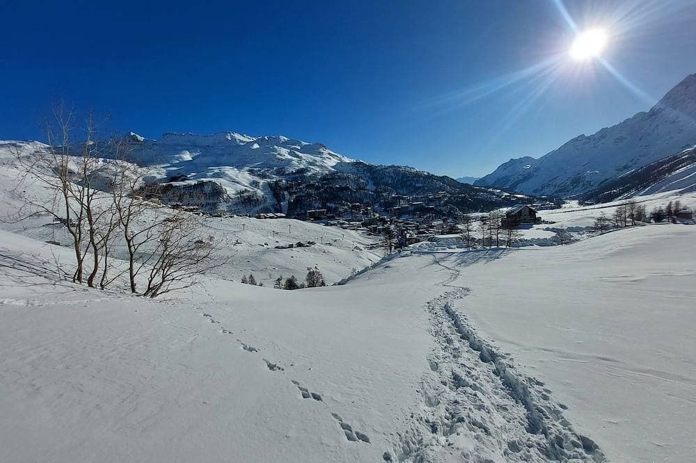Foto 8 von 15: Cervinia Snowy Owl