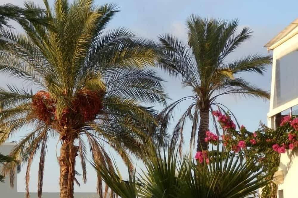Foto 11 von 30: Discounts: -15%/ from 7 nights / -20% from 28 nights