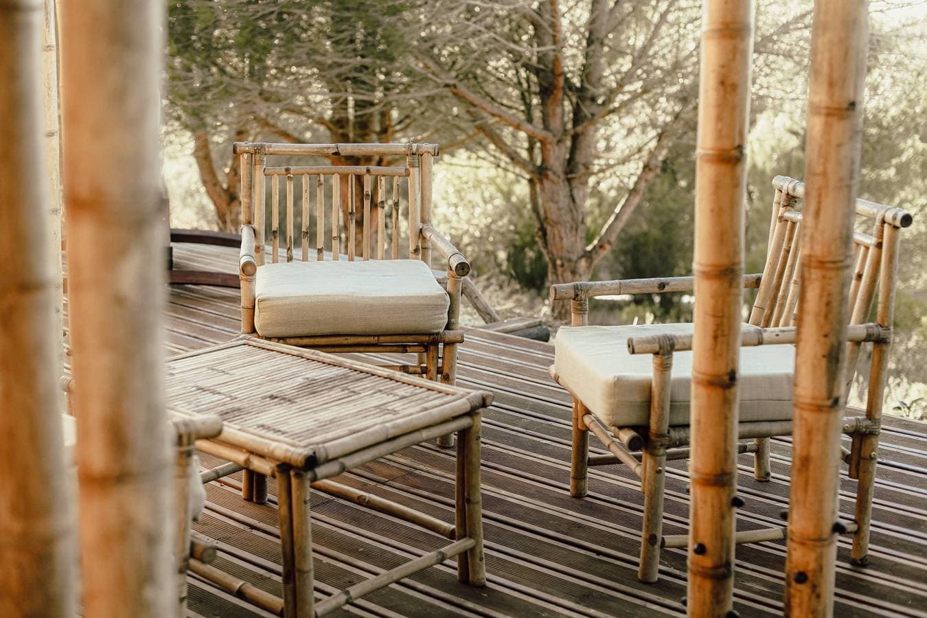 Foto 8 von 22: The Lemon Lodge - Mogadazu