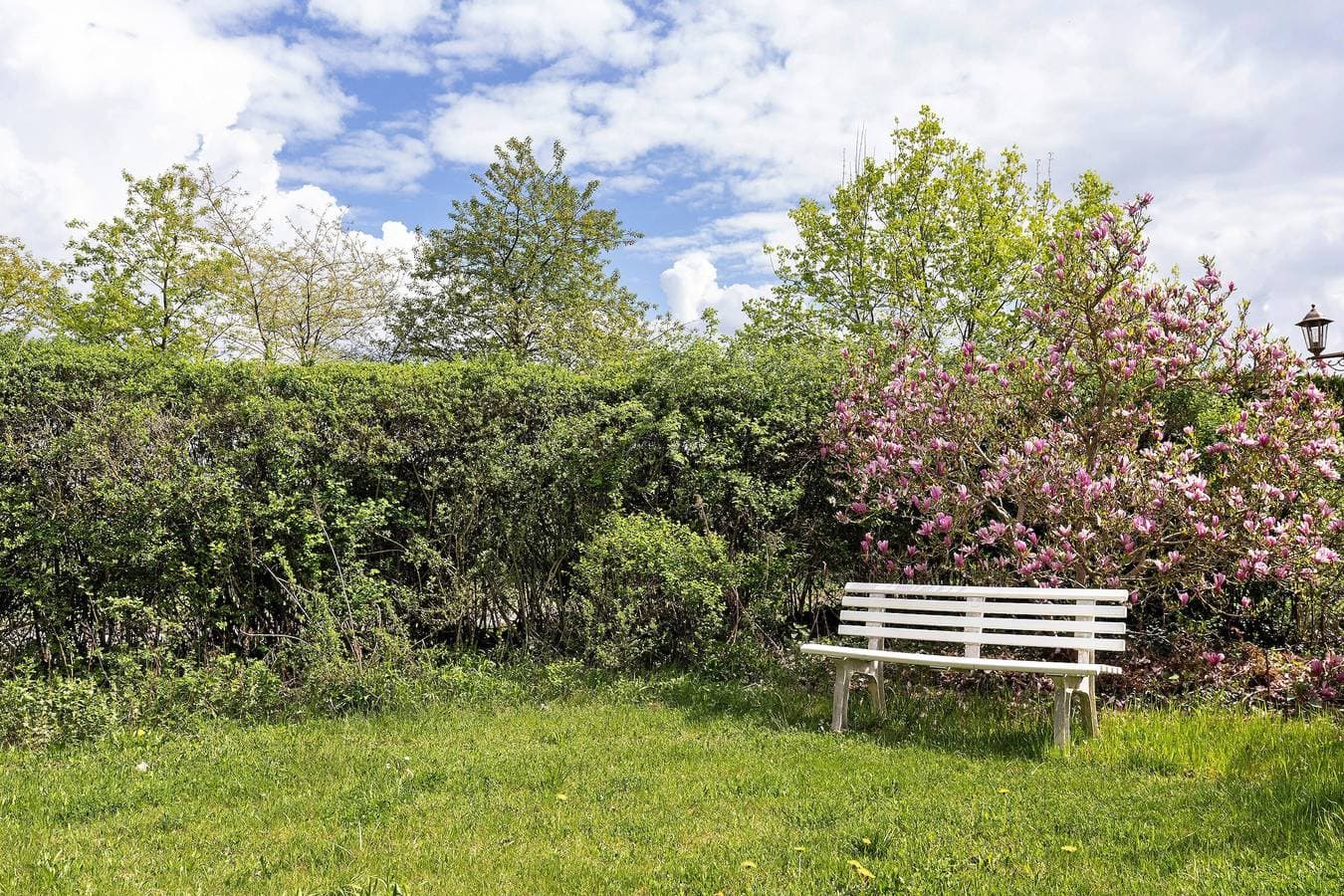 Foto 3 von 30: Ferienhaus 'Blockhütte' mit privater Terrasse und privatem Garten