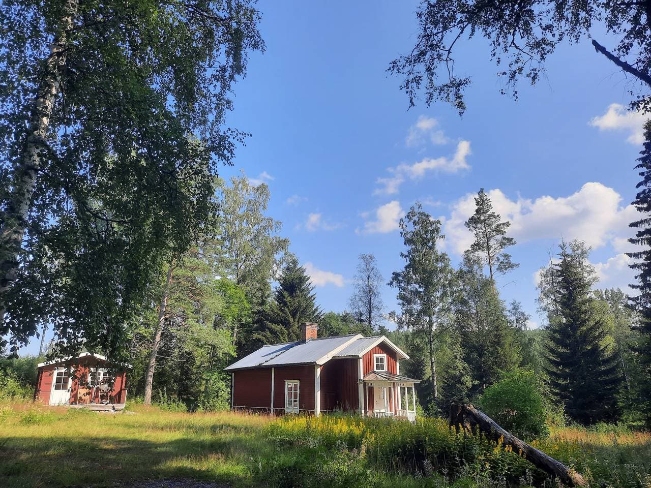 Foto 9 von 24: Erleben Sie einen echten Natururlaub mit Sauna im Wald