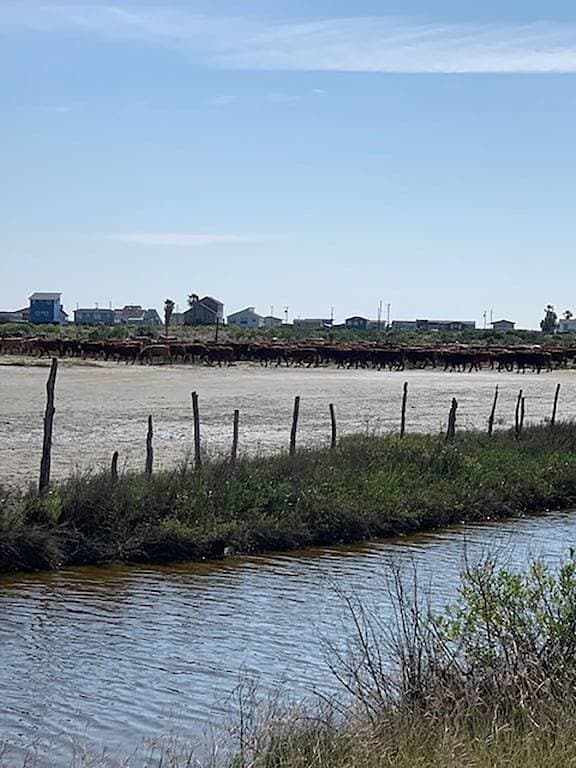 Foto 5 von 41: Entspannender Matagorda Beach Retreat - Blick auf den Golf vom Deck und der Sonnenterrasse