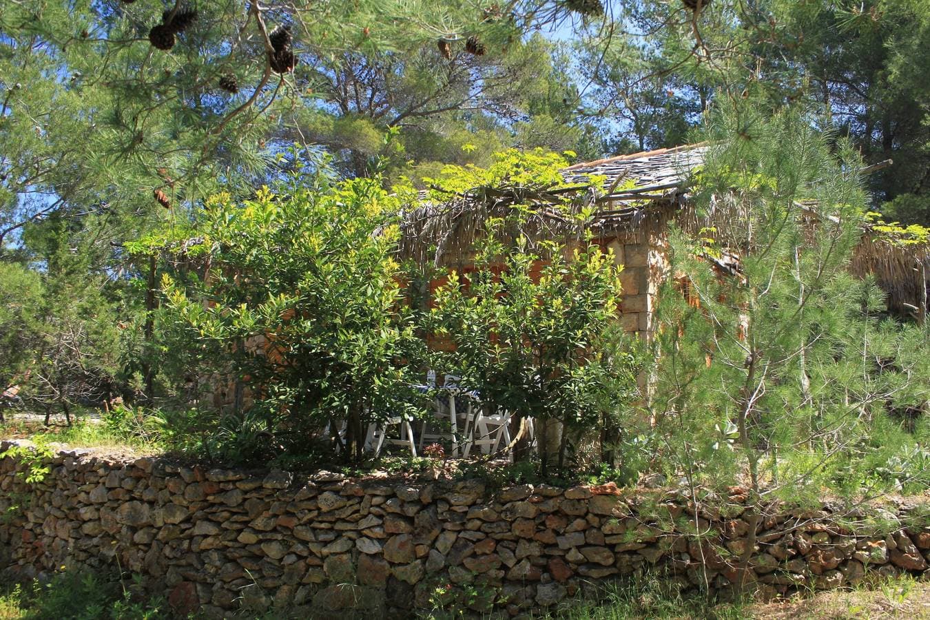Foto 8 von 30: 1-Zimmer-Haus am Strand Bucht Grebisce, Hvar