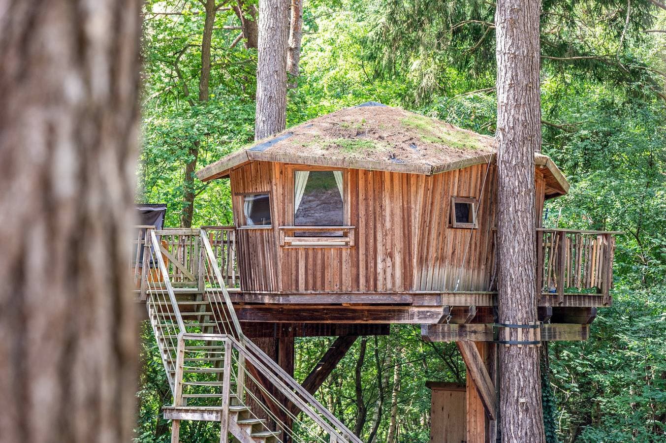 Foto 2 von 25: Ferienhaus 'Baumhaus Wernerwald' mit Balkon und WLAN
