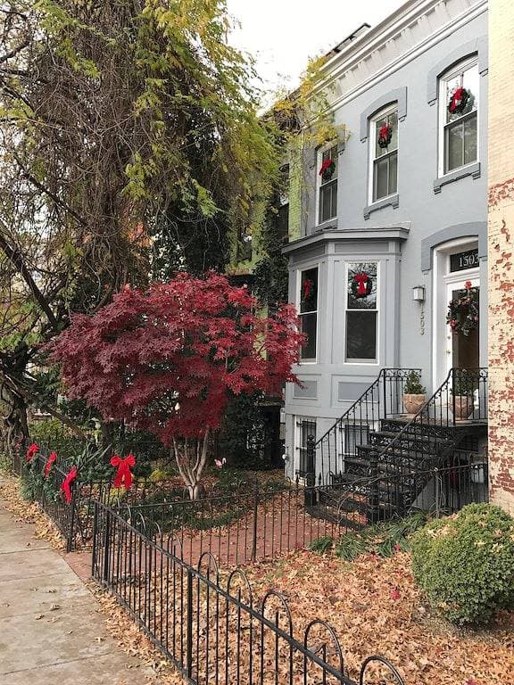 Foto 11 von 15: Charmante englische Kellerwohnung im historischen Dupont Circle