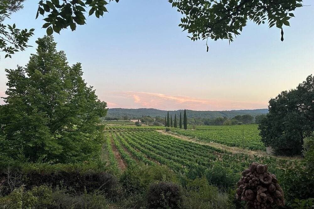 Foto 12 von 12: Stille in der Grünen Provence