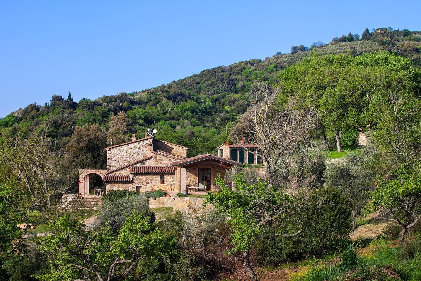 Poggio Diavolino - Suvereto 1