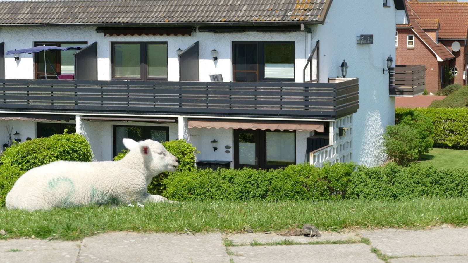 Haus Lith Deichblick 1