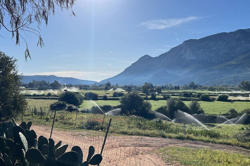 Foto 9 von 11: Casa Vacanza Funtanarva in Campagna