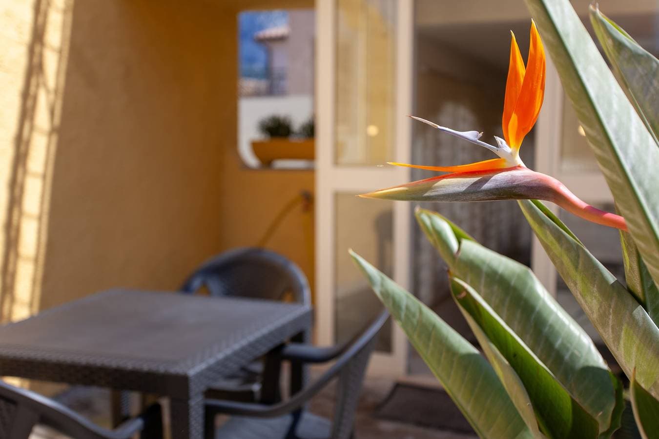 Foto 10 von 26: Ferienhaus 'Appartamento Irgoli - Sardegna' mit Terrasse, Wi-Fi und Klimaanlage