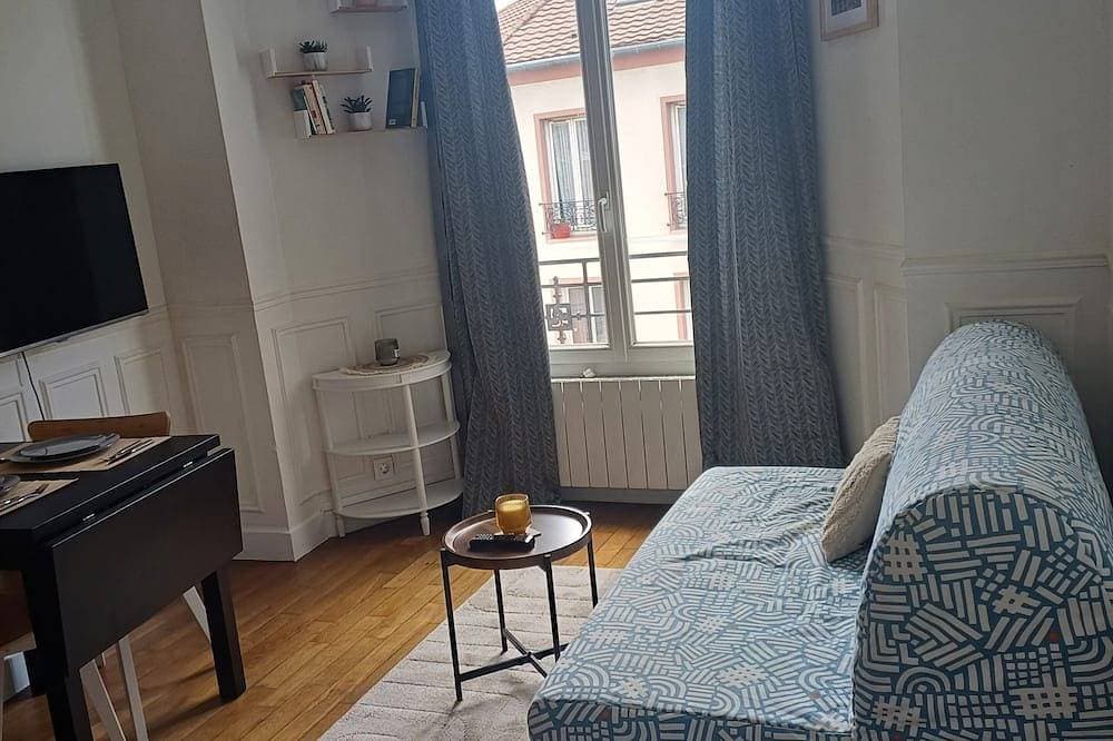 Superb Apartment In The Heart Of Greater Paris 1