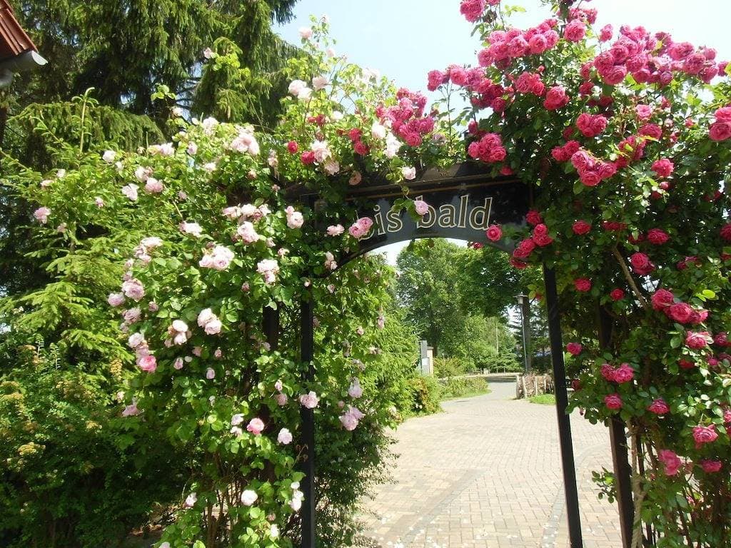 Foto 4 von 20: "Urlaub am See"
