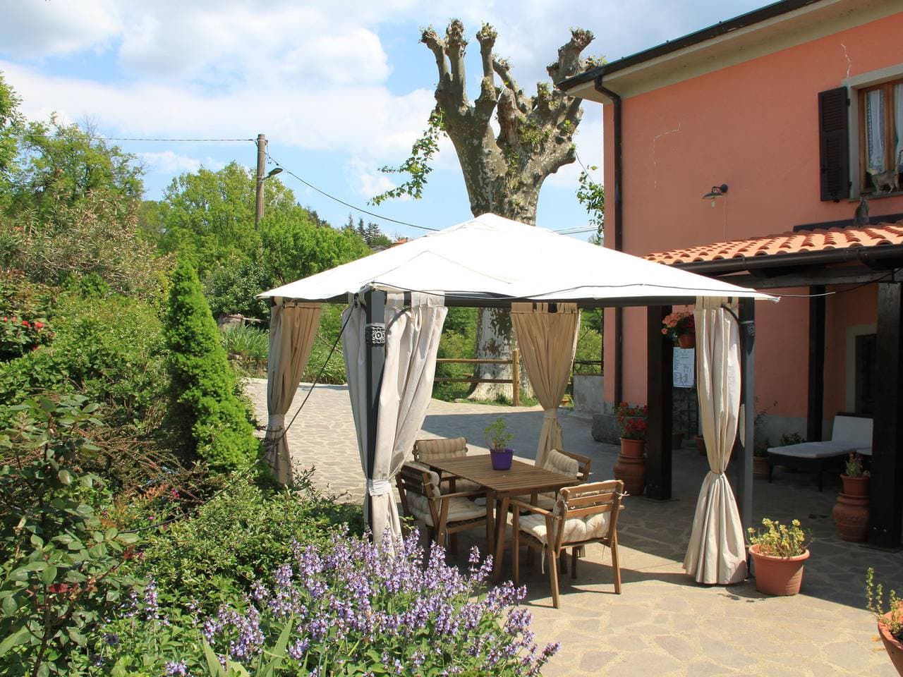 Foto 9 von 80: Ferienhaus in der Toskana mit Naturteich