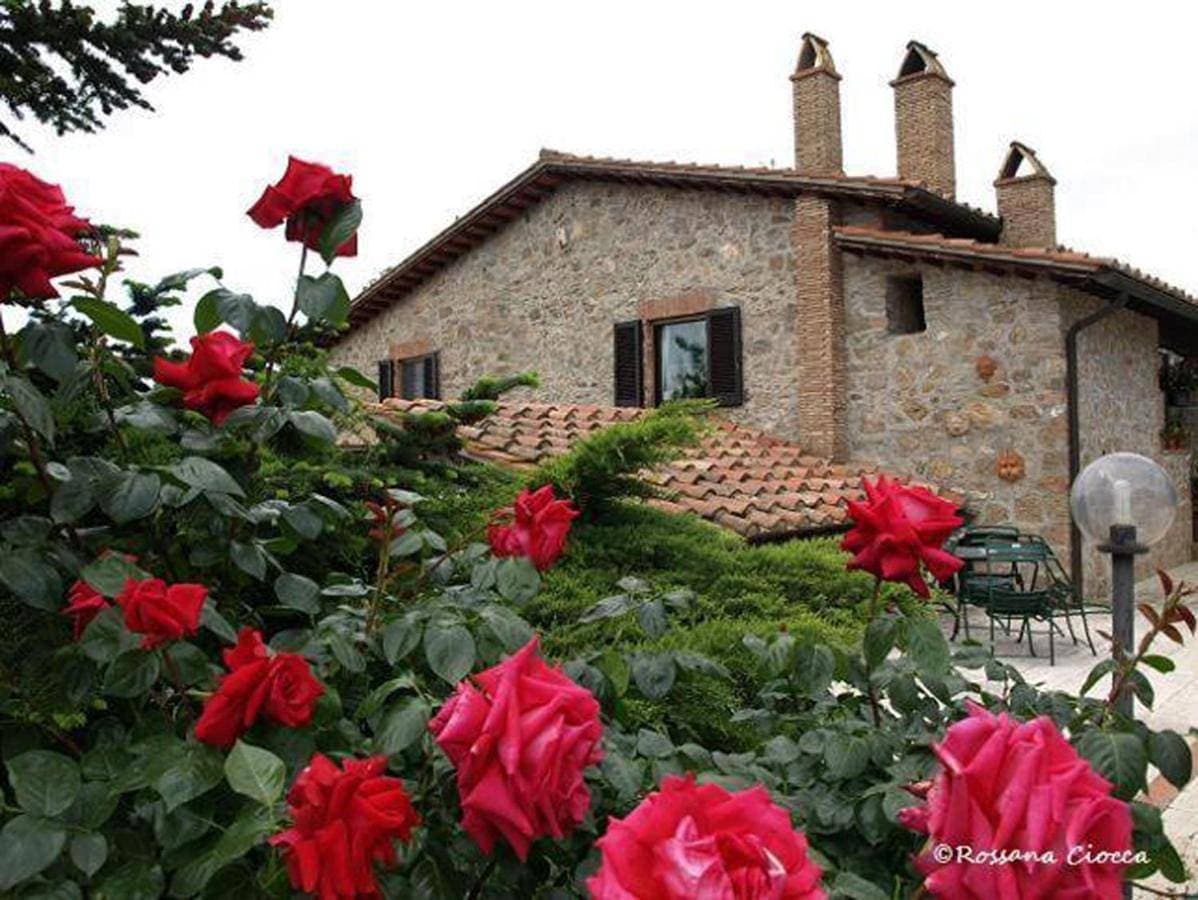 Foto 4 von 30: Queen Room with Garden View