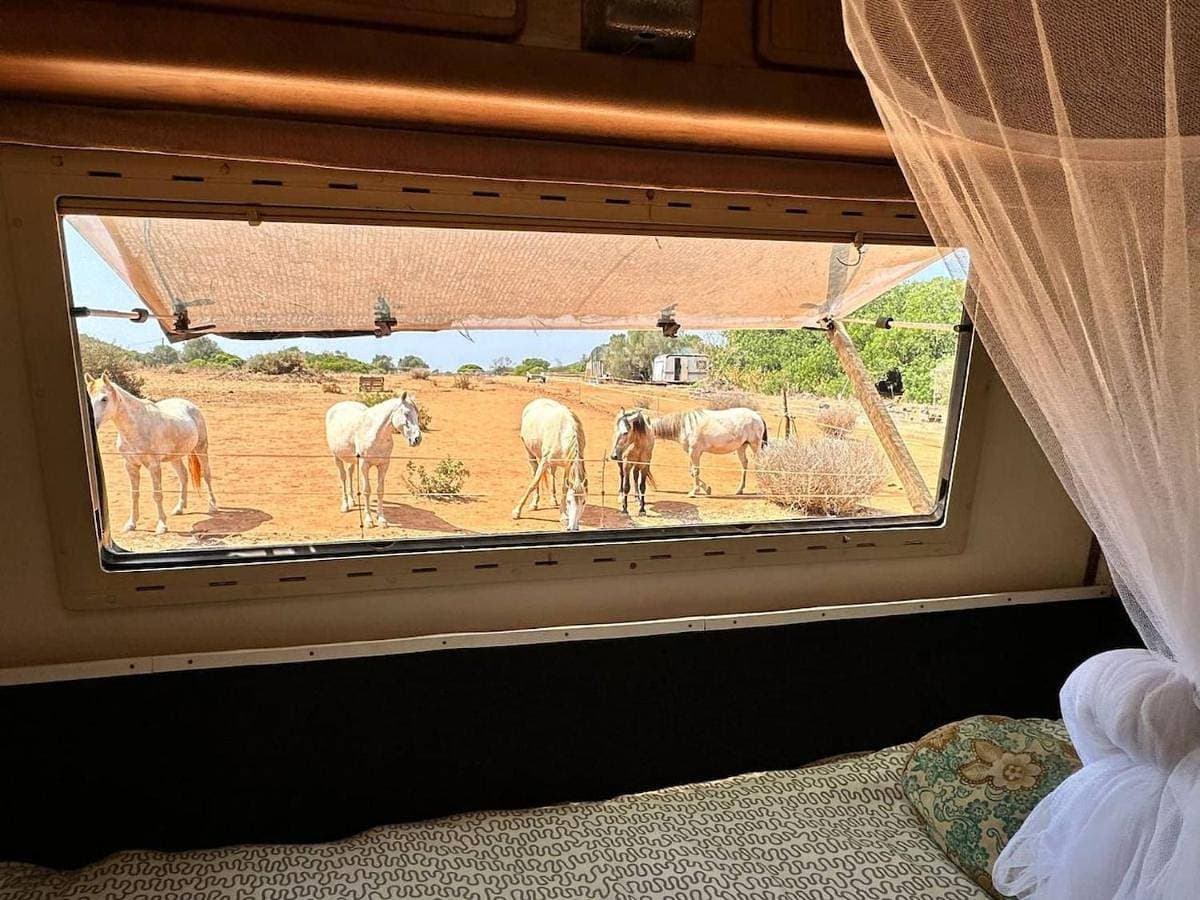 Foto 4 von 33: Mobile Home