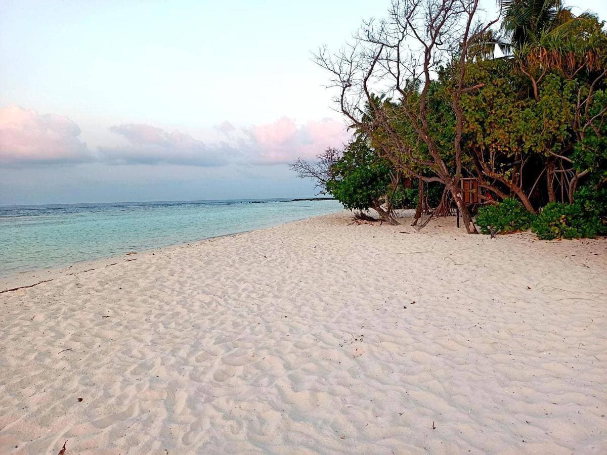 Dhoadhi Beach Maldives 1