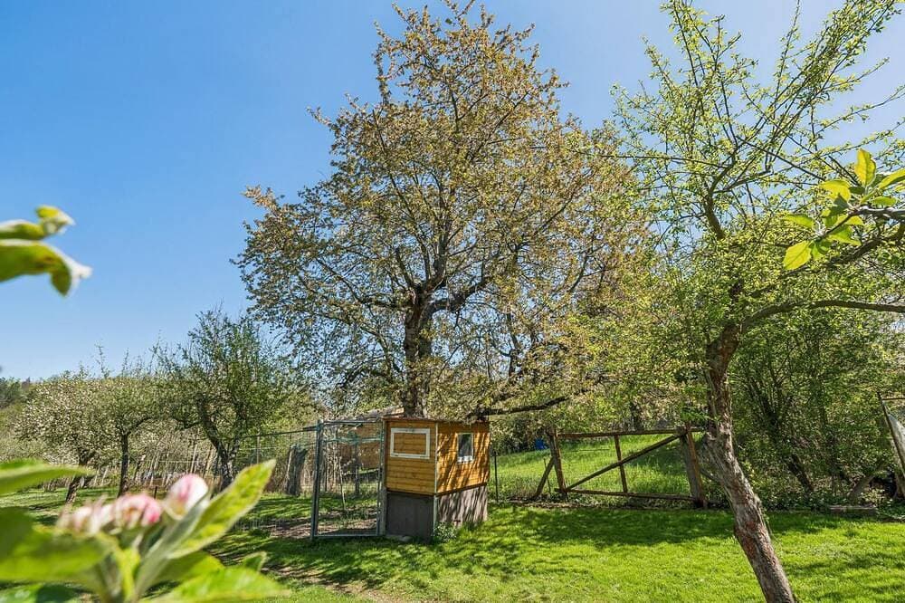 Foto 8 von 17: Ferienhaus mit großem Garten in Thale im Harz