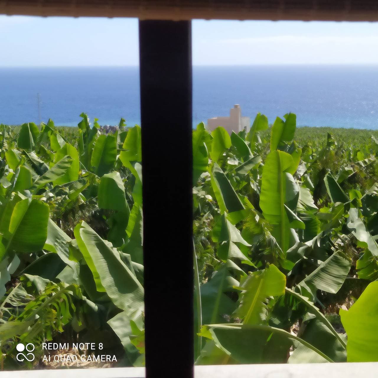 Foto 8 von 68: Clover „Trail Mountain La Palma“ mit Meerblick