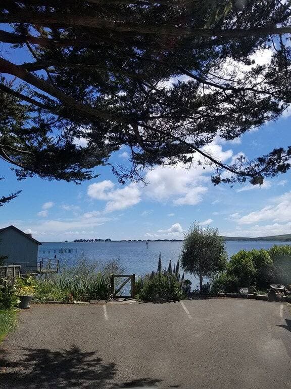 Foto 10 von 20: Beste Aussicht in Bodega Bay - Wir sind direkt am Wasser!