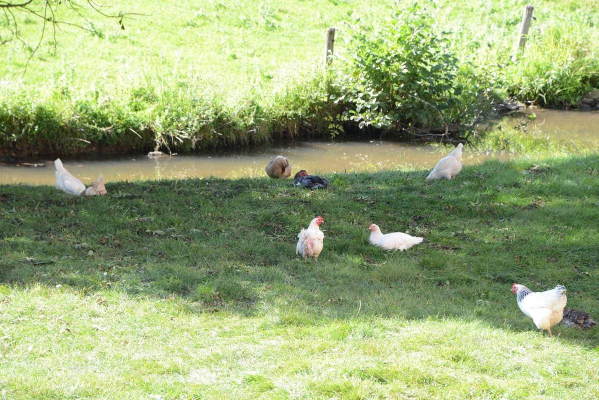 Foto 10 von 24: Le Moulin